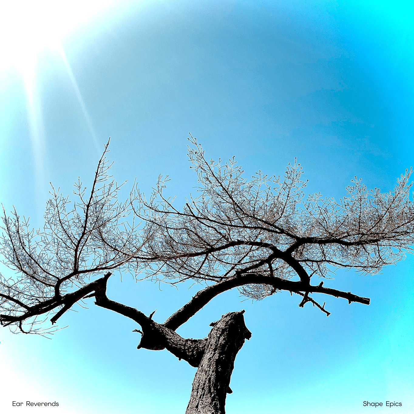 album cover art for Shape Epics, by the Ear Reverends